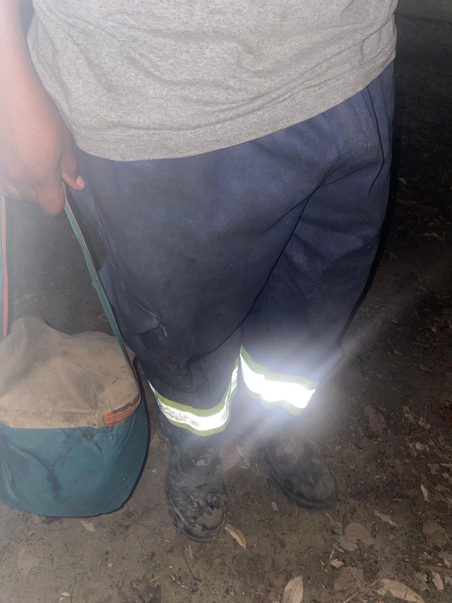 ninfeta passiva tweet media