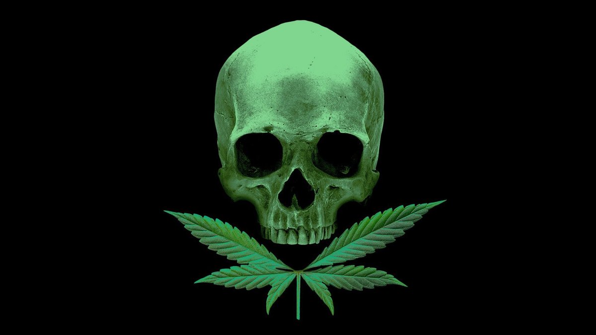 Washington Psychotronic Film Society tweet media