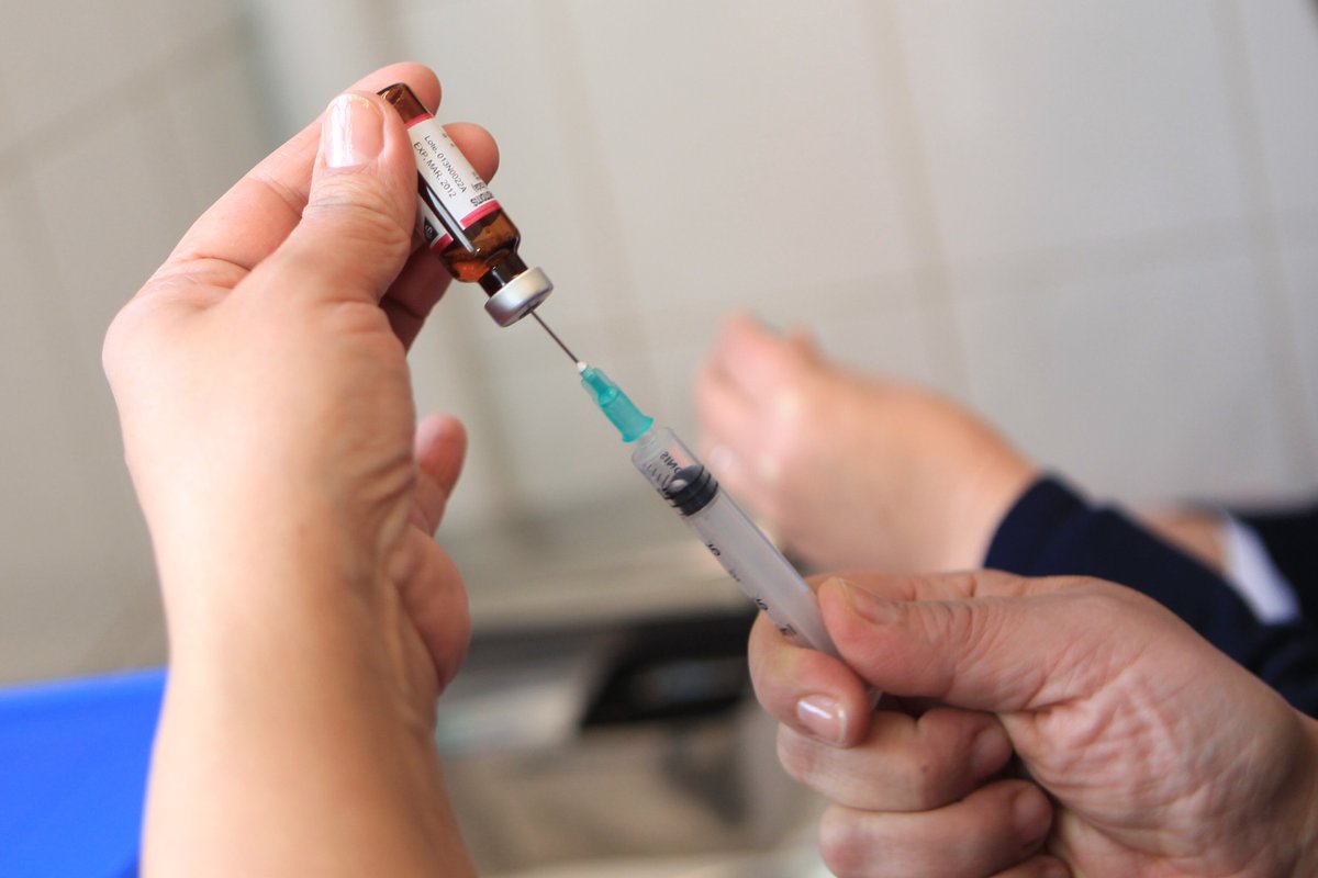 🚨💉 Salud amplía campaña contra sarampión e incluye vacunas contra neumococo, hepatitis A, VPH y virus respiratorio 👀

💡 También amplían la vacuna del VPH de 9 a 45 años
📍 Disponibles gratis en unidades de salud

#ElSalvador #SaludSV #Vacunas