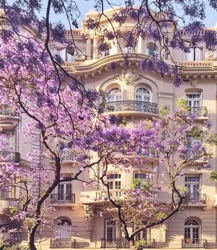 CaptureYourGlow's tweet image. Love blooms in quiet corners where dreams and hearts intertwine, painting life with soft beauty, shared moments, and endless hope beneath skies kissed with gentle light.
#FOORM #Jewelry #Studio #WearYourStory #Charms #Bracelets #Necklaces #Love #Romance #ParisVibes