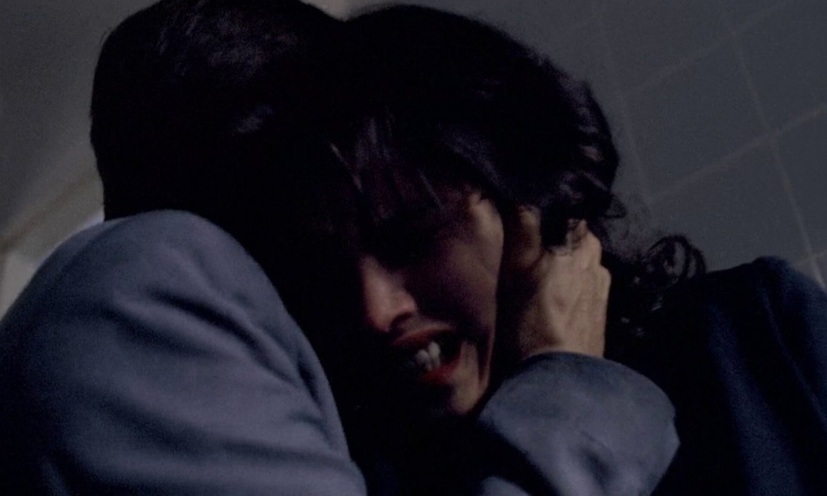 cinemariviera tweet media