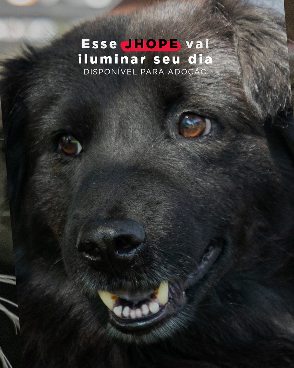 Prefeitura de Canoas tweet media