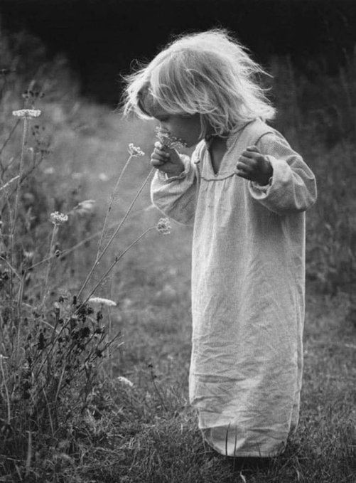 Kimbathewhitelioness777 tweet media