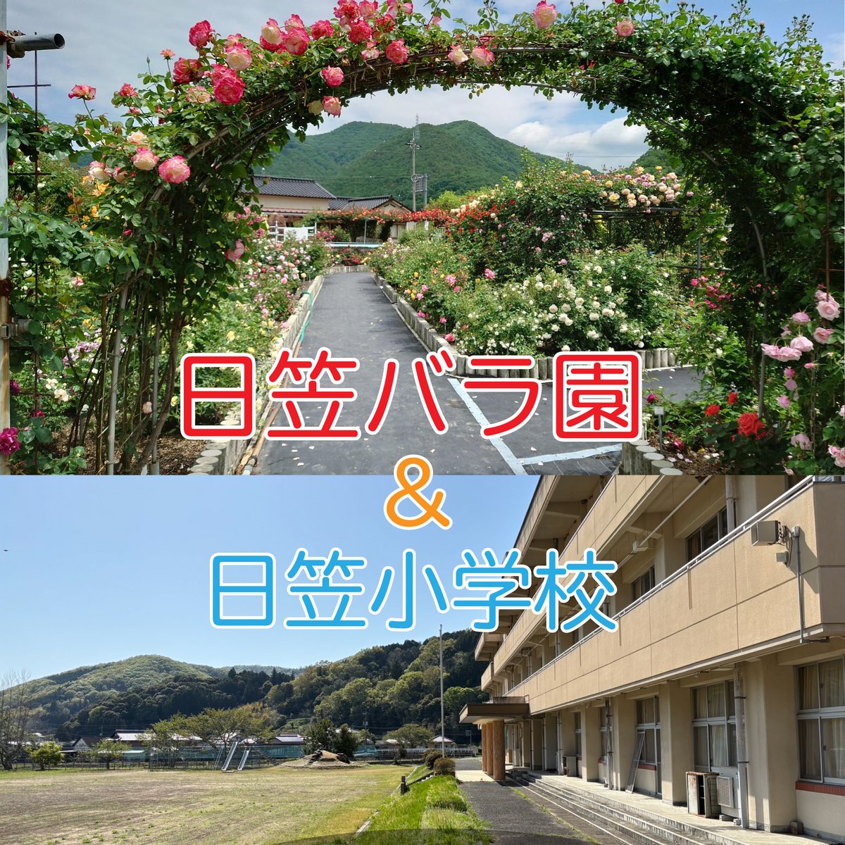 おでコス🌻コスプレイベント tweet media