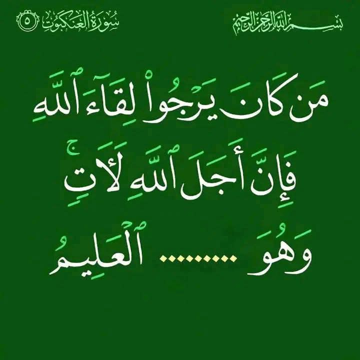 سارة tweet media