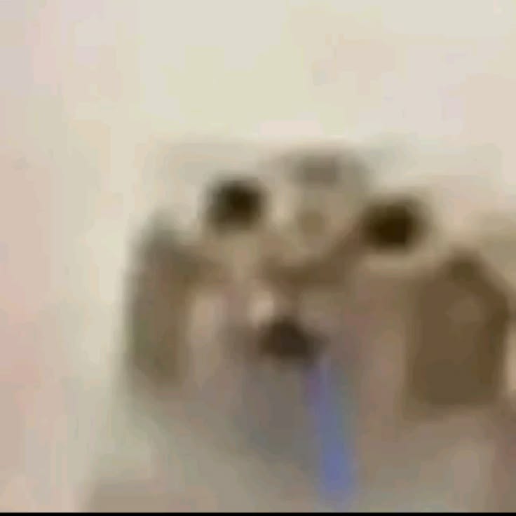 🦇Echo 👁️🫦👁️ tweet media