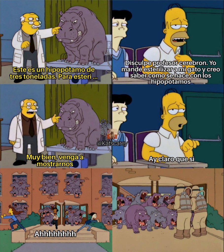 Katscarey tweet media