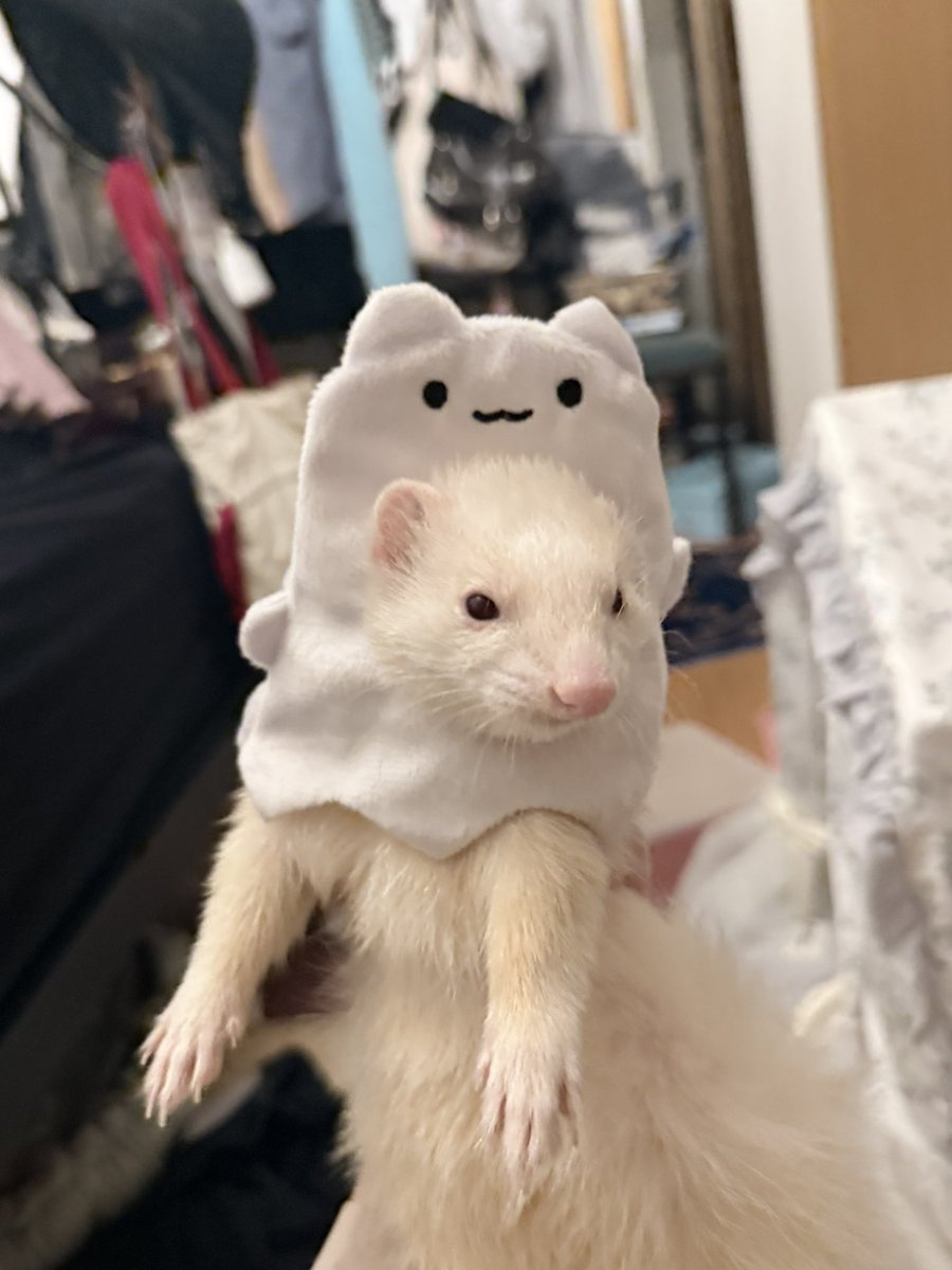 てちてちモンスター ドラコ tweet media