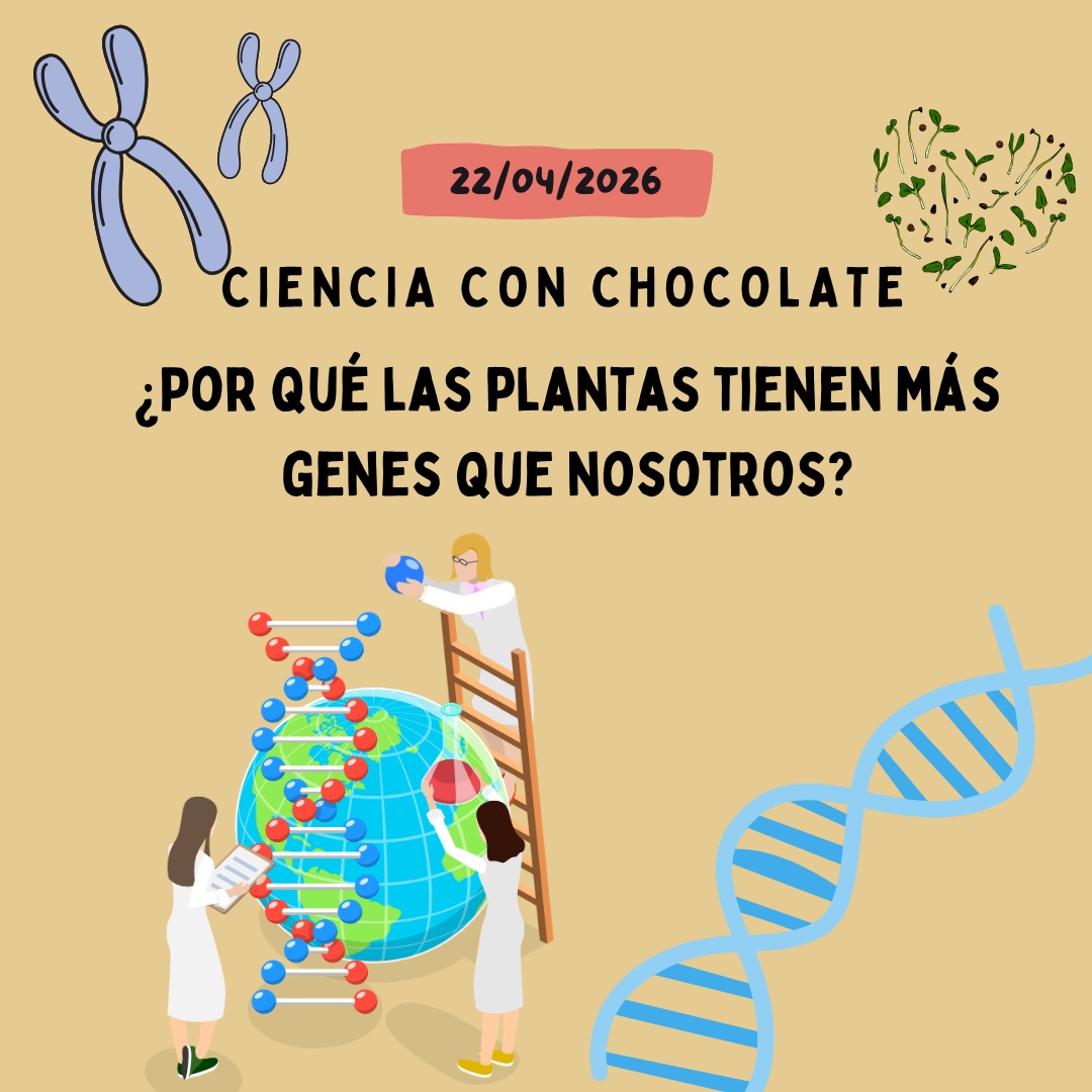 Ciencia con chocolate 🍫👨‍🔬 tweet media