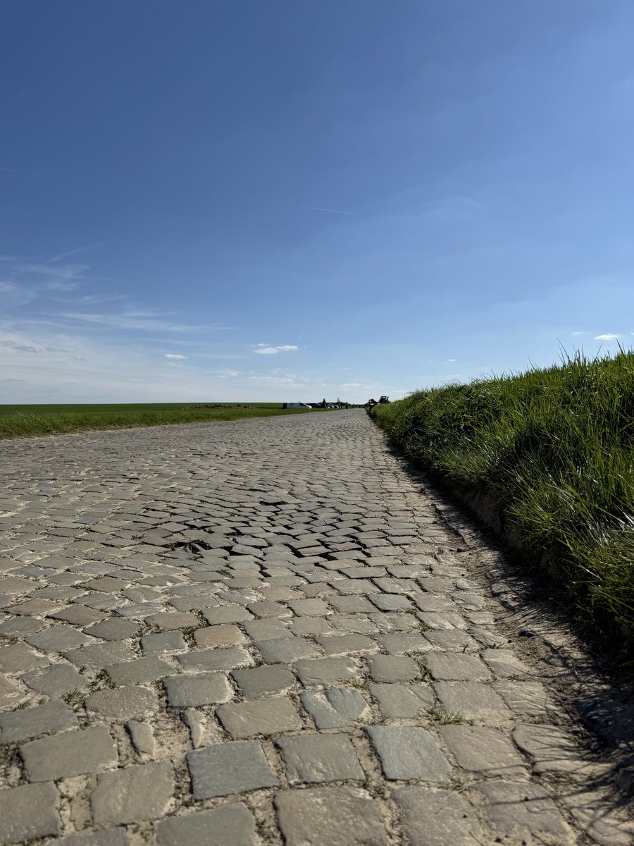 Unibet Rose Rockets tweet media