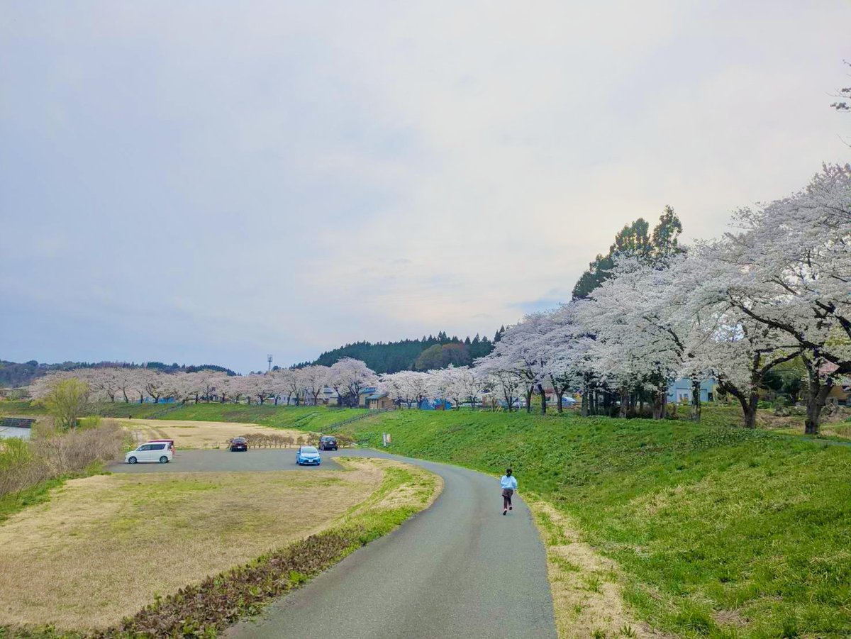 ゆずパパ tweet media