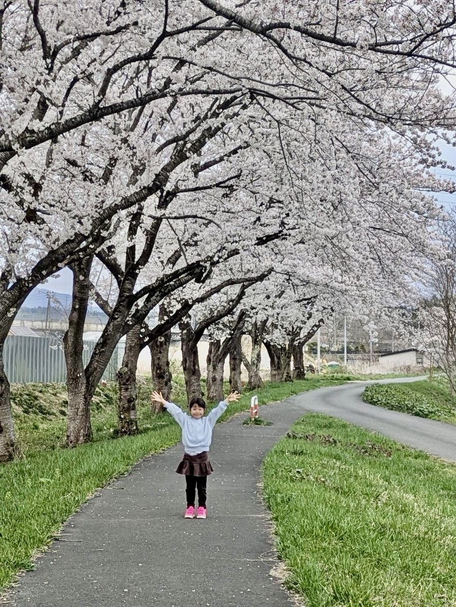 ゆずパパ tweet media