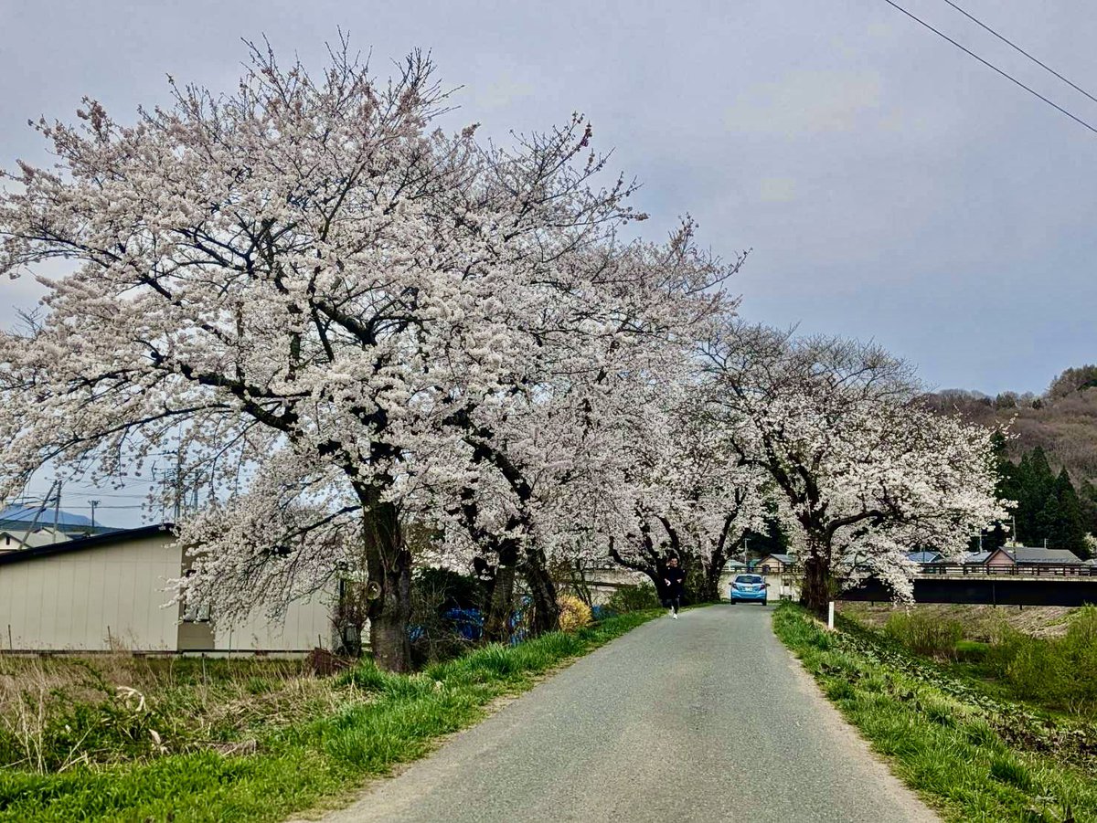 ゆずパパ tweet media