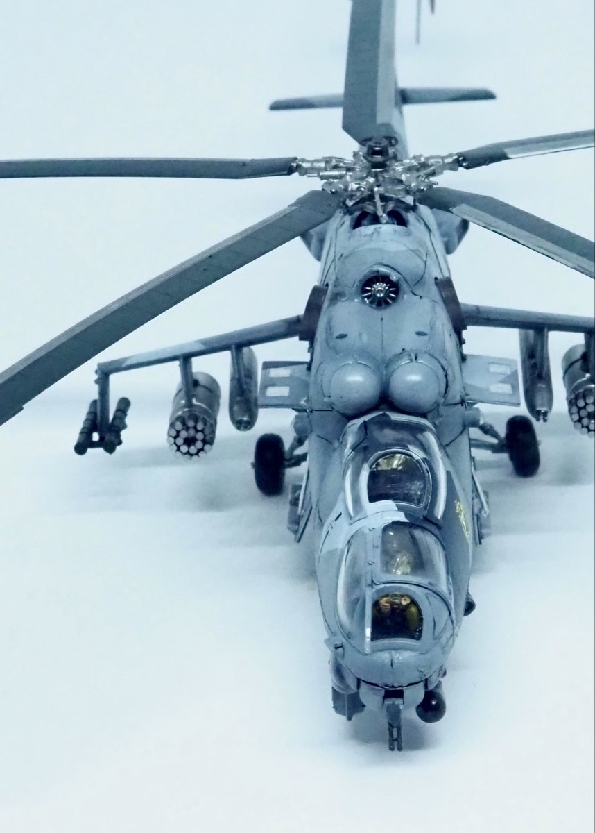 tanuki_fuwaku tweet media