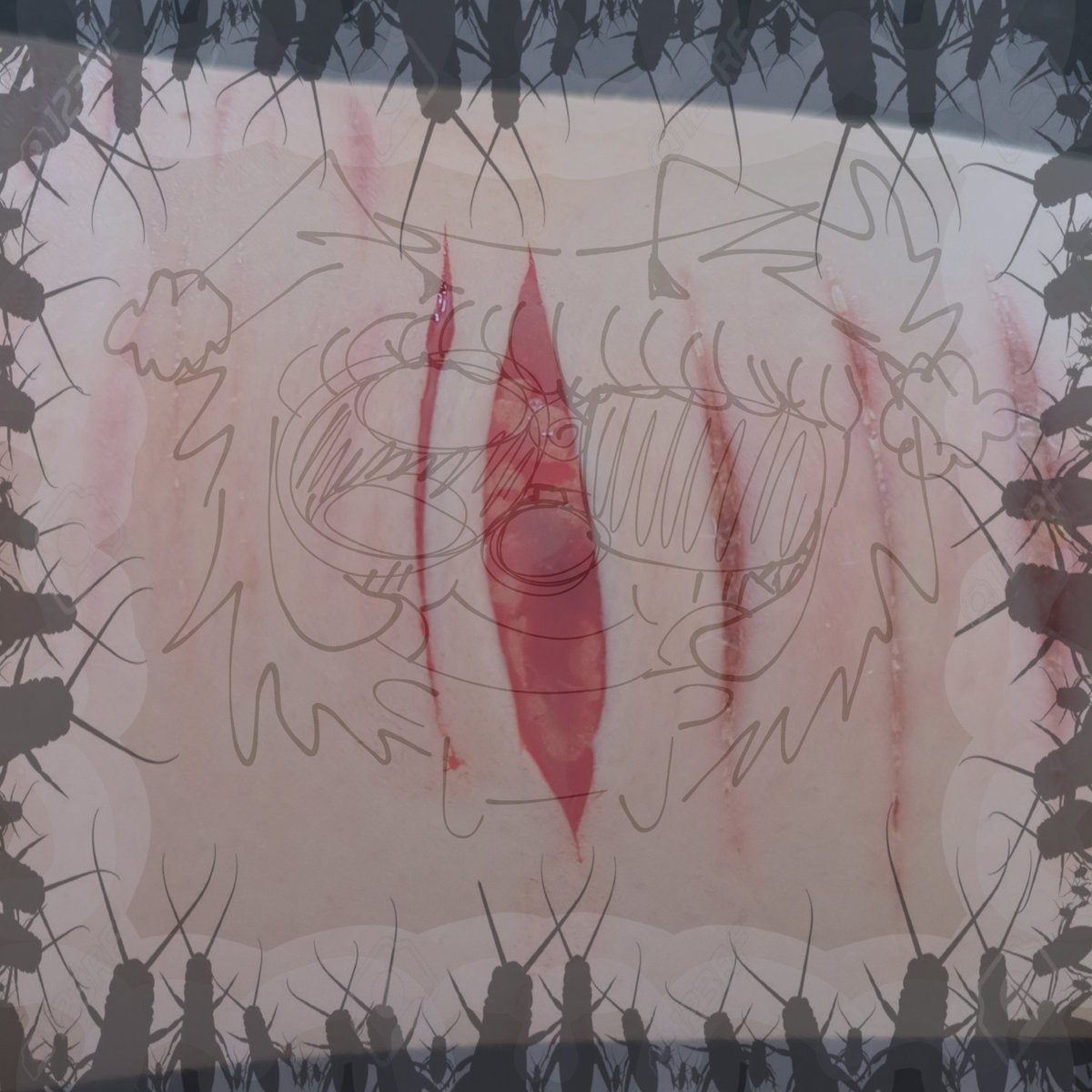 𓂃 ࣪˖ ִֶཐི༏ཋྀ󠀮| Bug | ཐིཋྀ ˖ ࣪⊹ tweet media