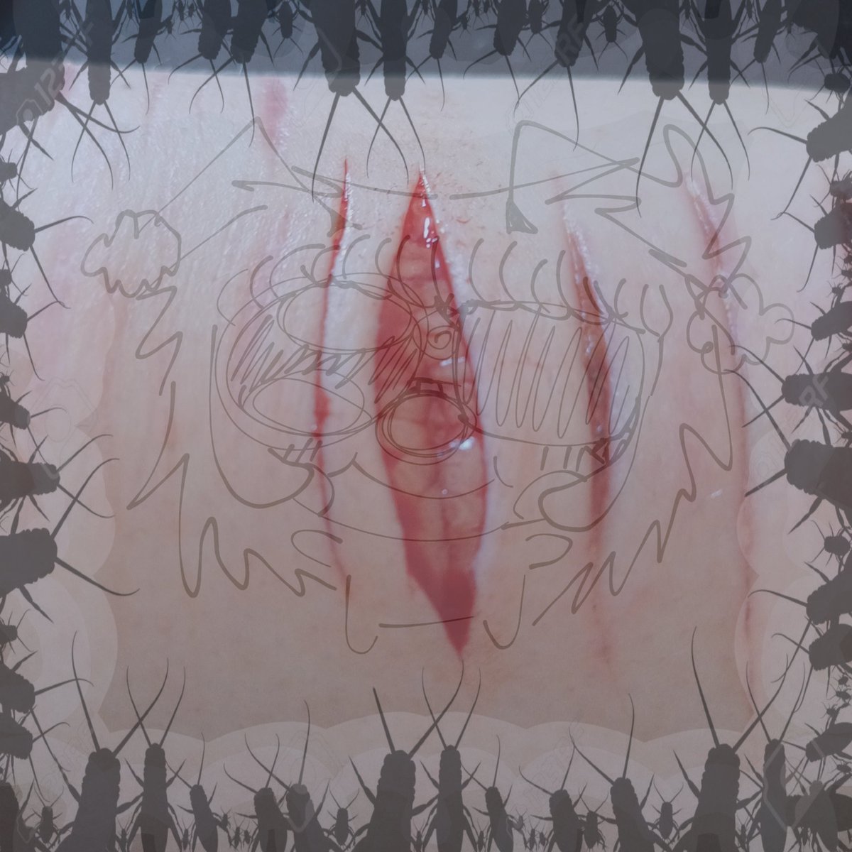 𓂃 ࣪˖ ִֶཐི༏ཋྀ󠀮| Bug | ཐིཋྀ ˖ ࣪⊹ tweet media