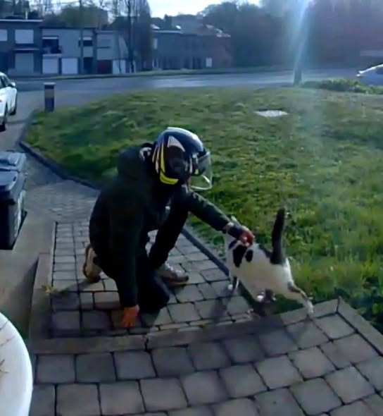 BRINDILLE85 💙🤍💔 🧡 tweet media