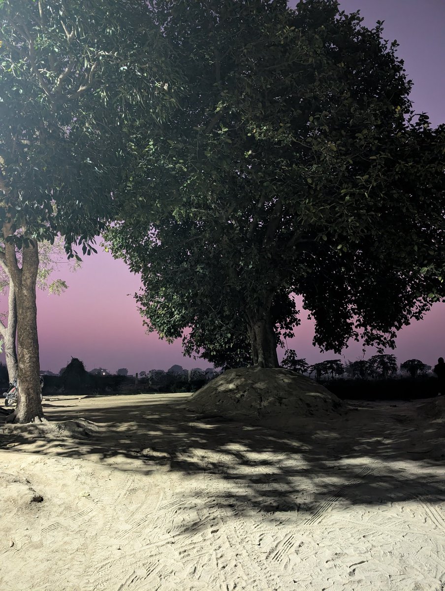 Drop a photo you clicked.    

 No text.    

 Let it speak..

#My_Clicks
#theme_pic_India_Sunsets