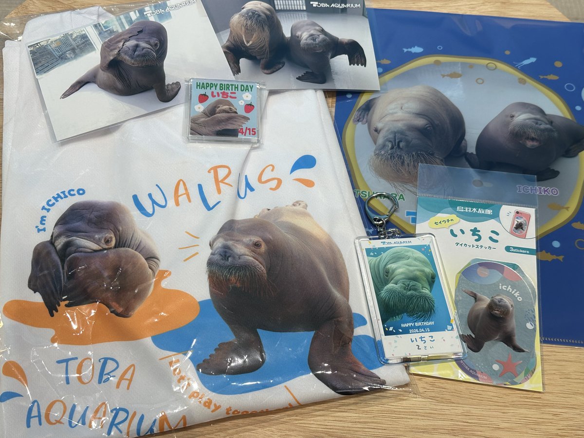 Foo🐾Zoo tweet media