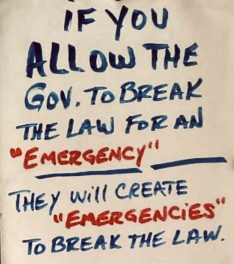 rabbitholebot tweet media