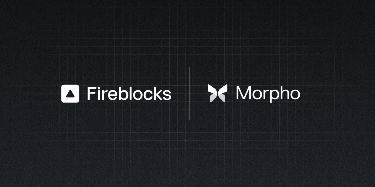 Morpho 🦋 tweet media