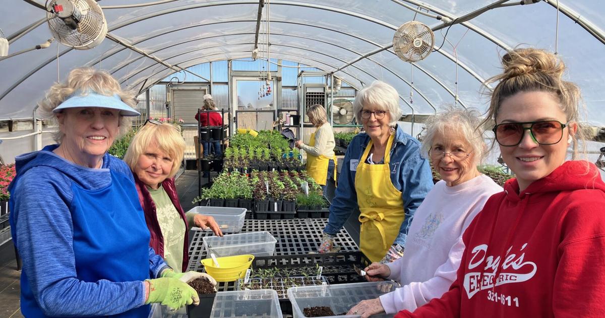 MarkHodsonAgent's tweet photo. Cleveland County Master Gardeners announced Tuesday they will hold their annual spring sale April 11. The sale will be held ...
https://t.co/1pQAPmuaHg https://t.co/Zmrer9LolB