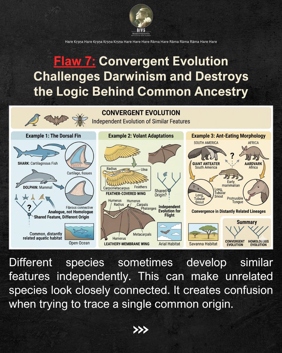 BIVScience's tweet image. “The Unsolved Mysteries”
What is the truth? Are there loop holes in the Evolution Theory?

Swipe to know more.

#HareKrishna #scienceandspirituality #evolution #biology #start
