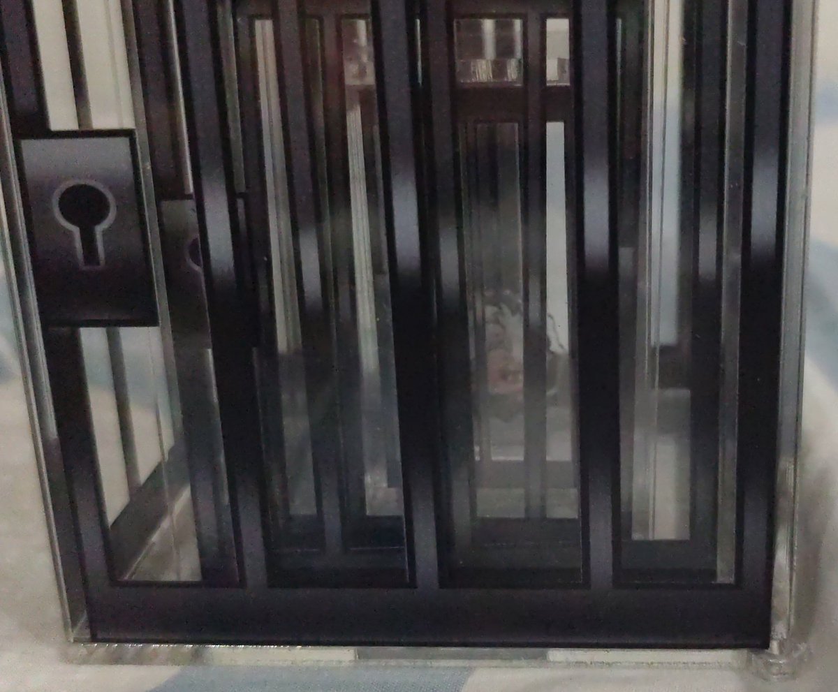 LYN ☆ CF22 tweet media