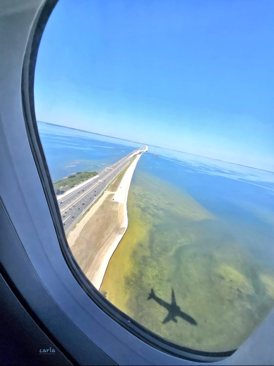 camera_bird's tweet image. #Sky