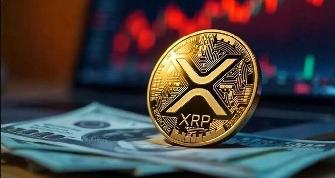 Sunny Girl tweet media