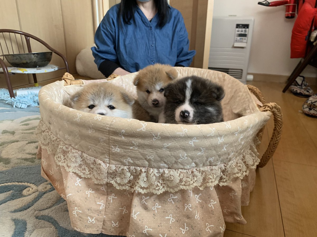 リカーショップたかはし tweet media