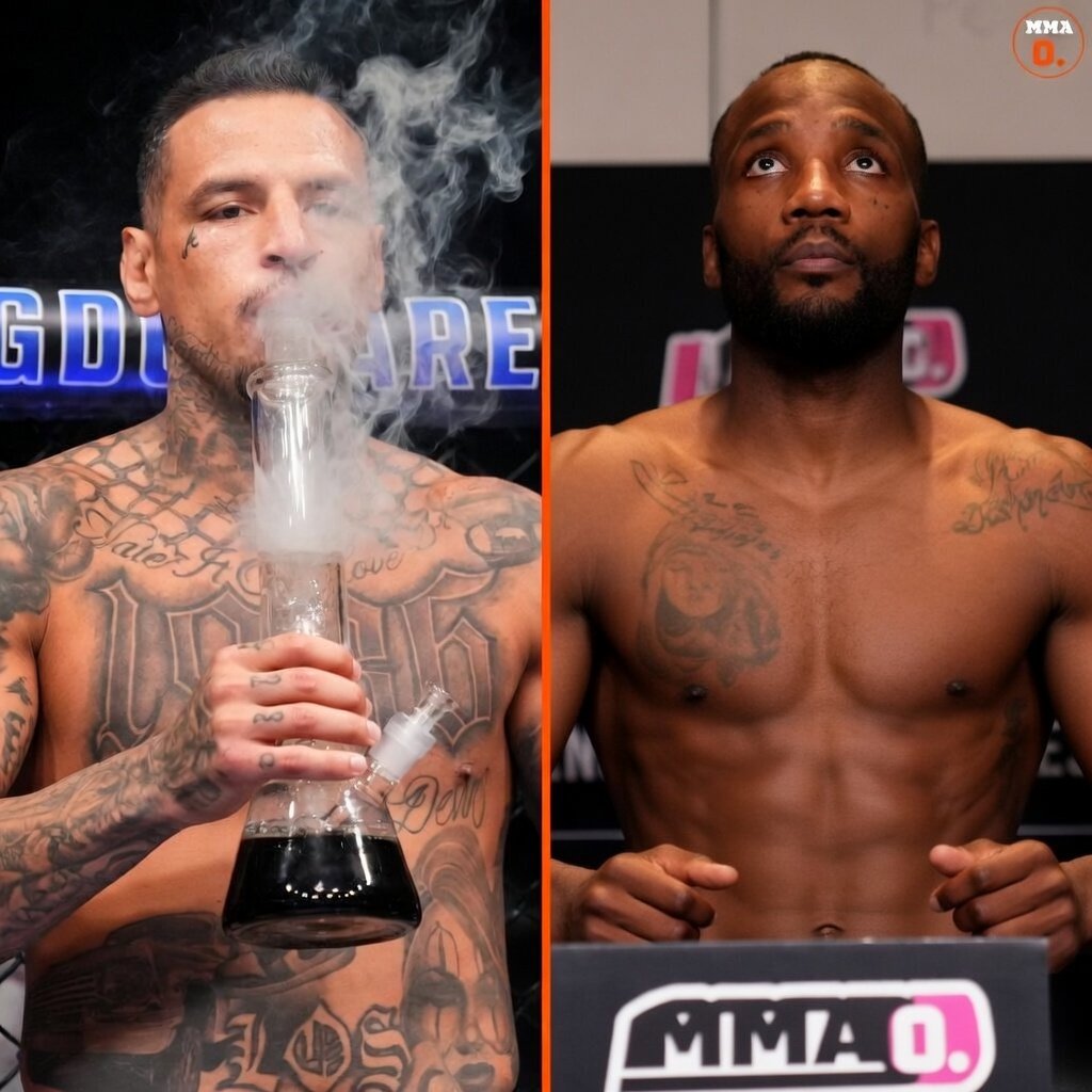 Combat Gravity tweet media