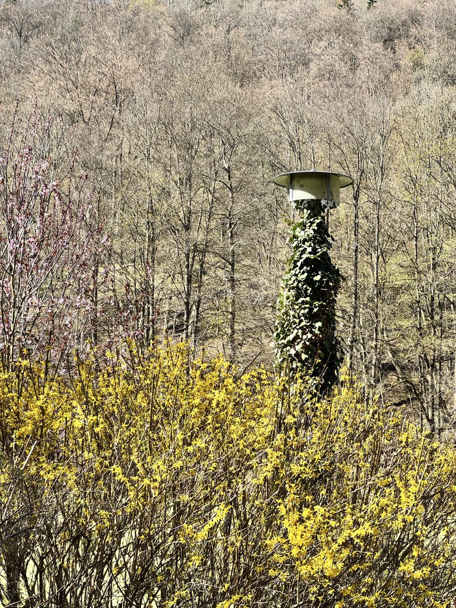 Michael Jahn tweet media