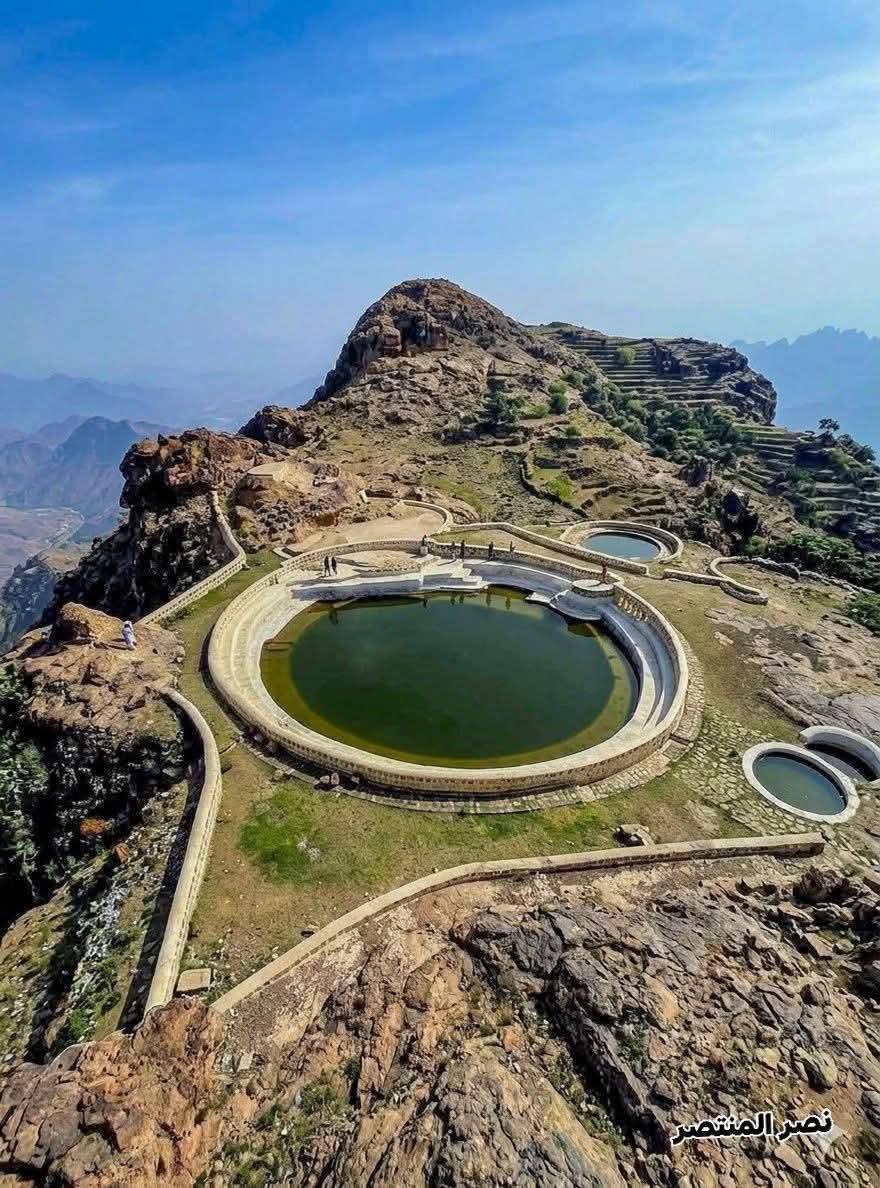 محمد الشيخ tweet media