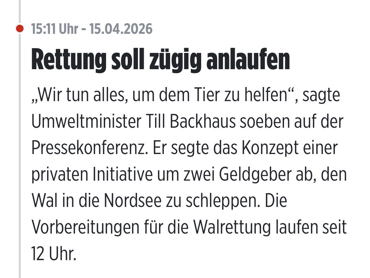 Es kann los gehen 🐳❤️#Timmy