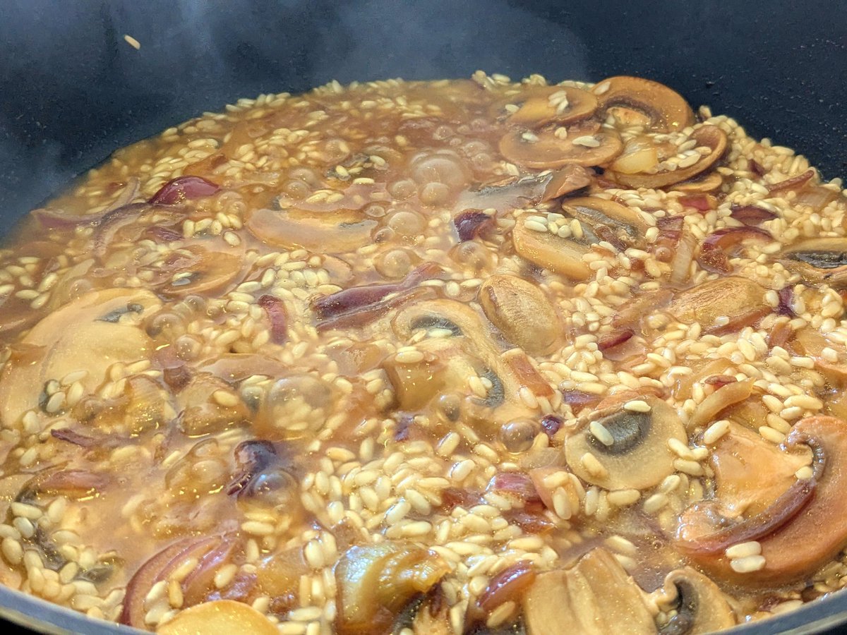 Yuria of Ailurus 🎋 tweet media