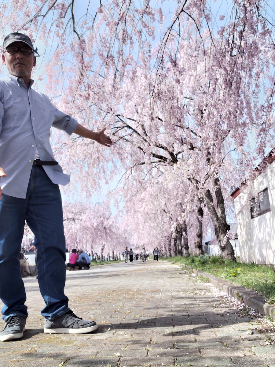 Shintoshi6's tweet photo. 昨日は喜多方行って来ました。
しだれ桜が満開でした。 https://t.co/MMTT32JyXl