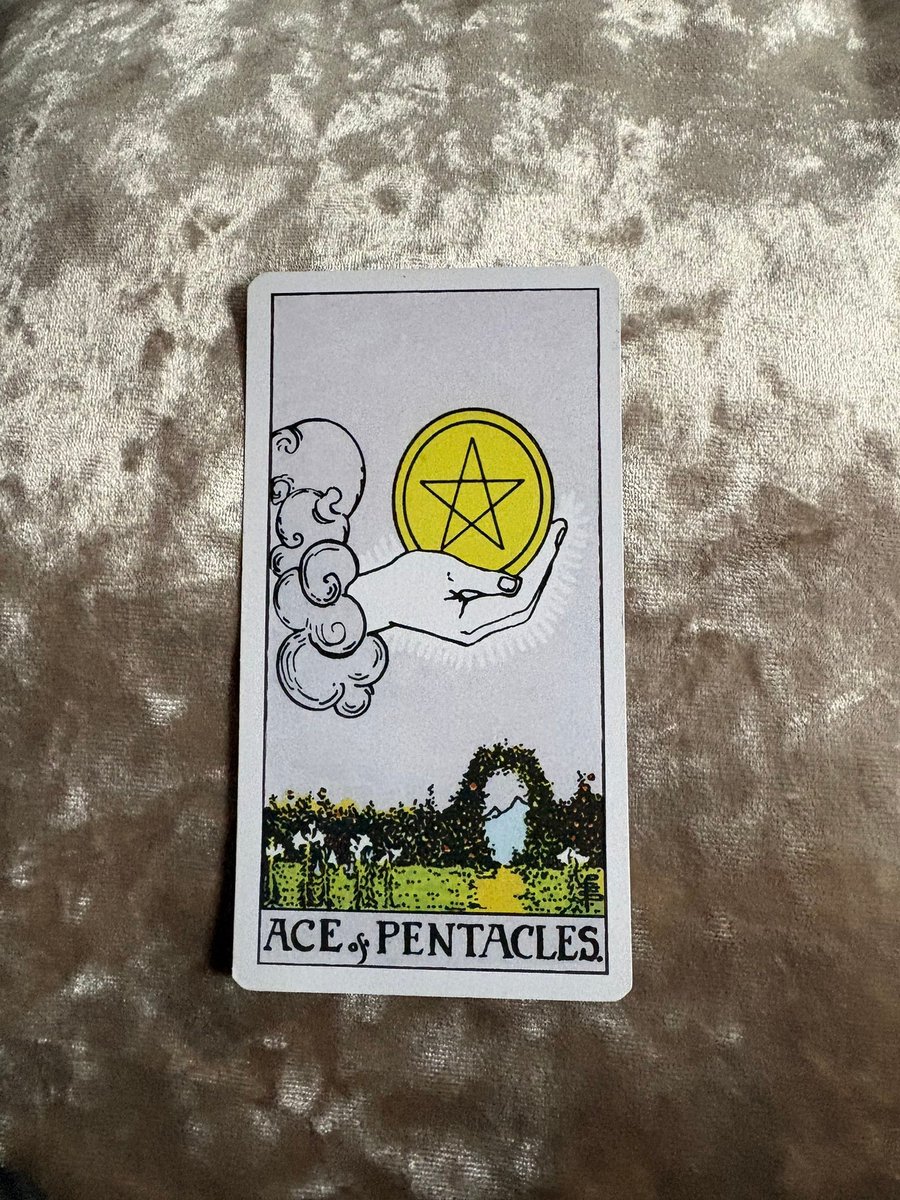Pipi | Tarot 🍒 tweet media