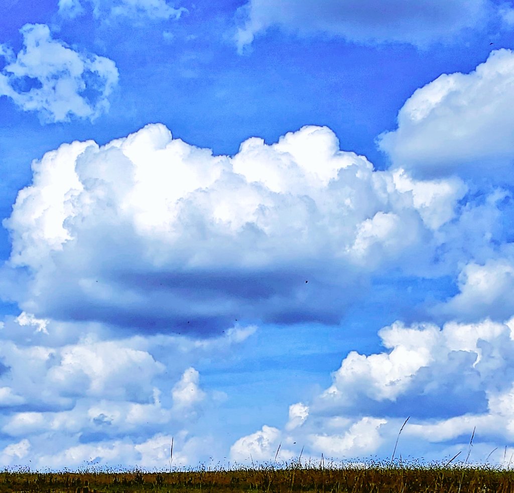 camera_bird's tweet image. #Sky
