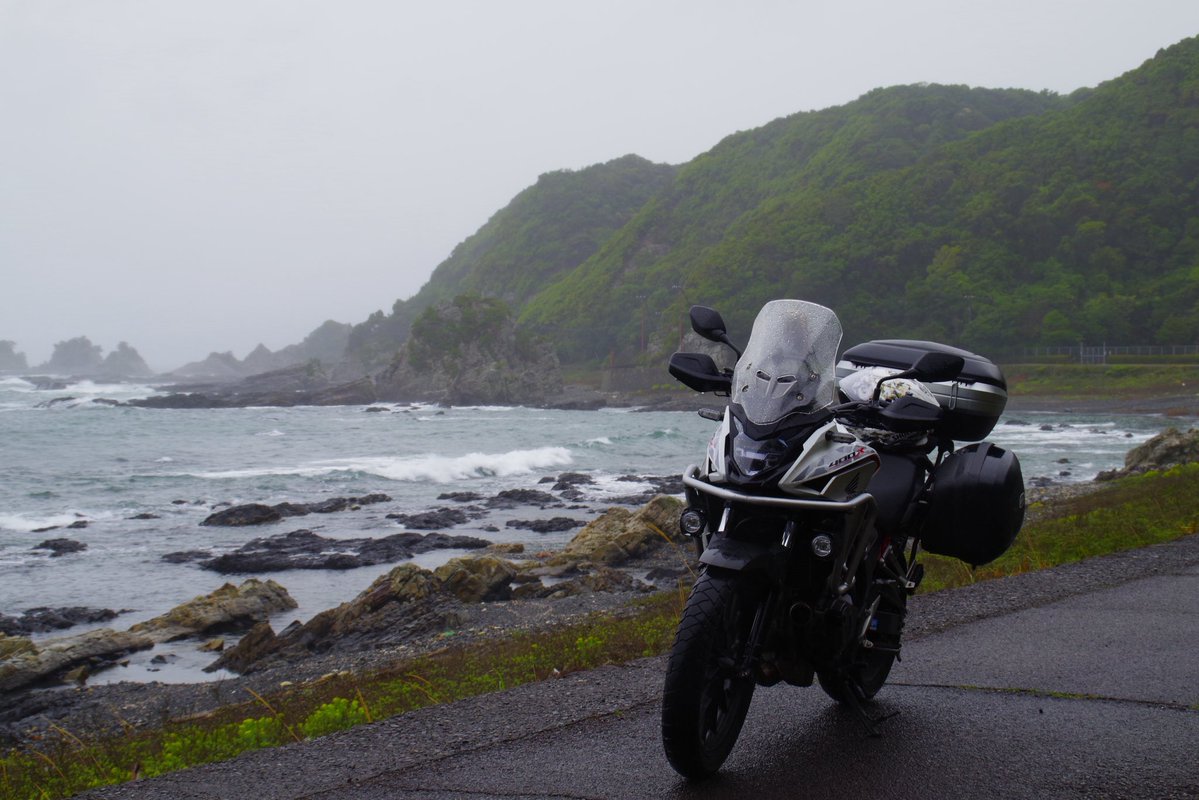 おきゅ tweet media