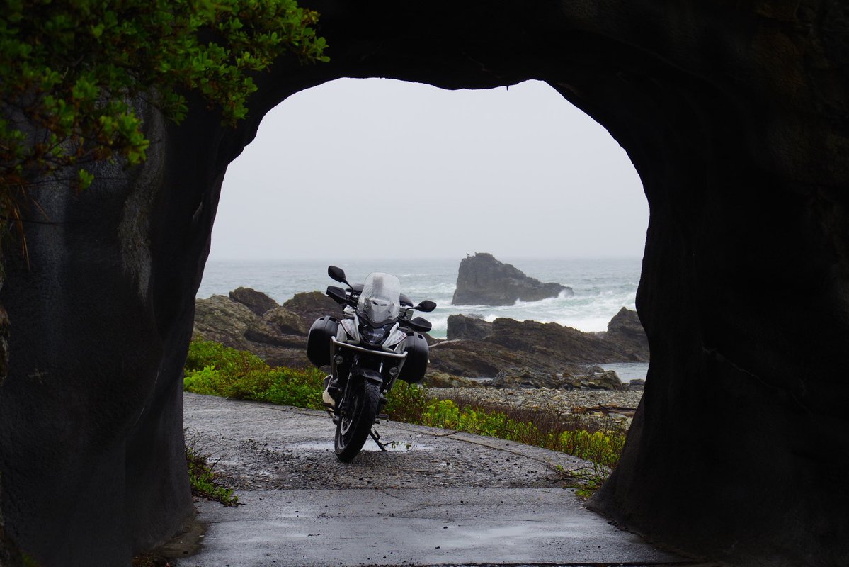 おきゅ tweet media