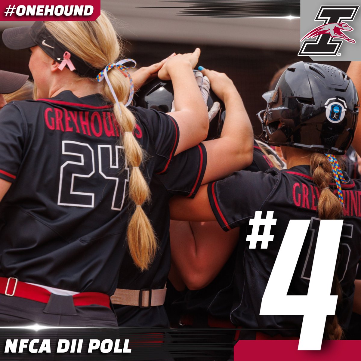 UIndy Softball tweet media