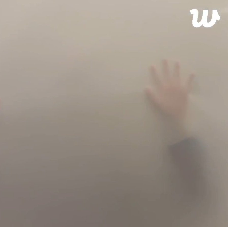 eli, sn 🍯 ✦≽^•⩊•^≼✦ tweet media