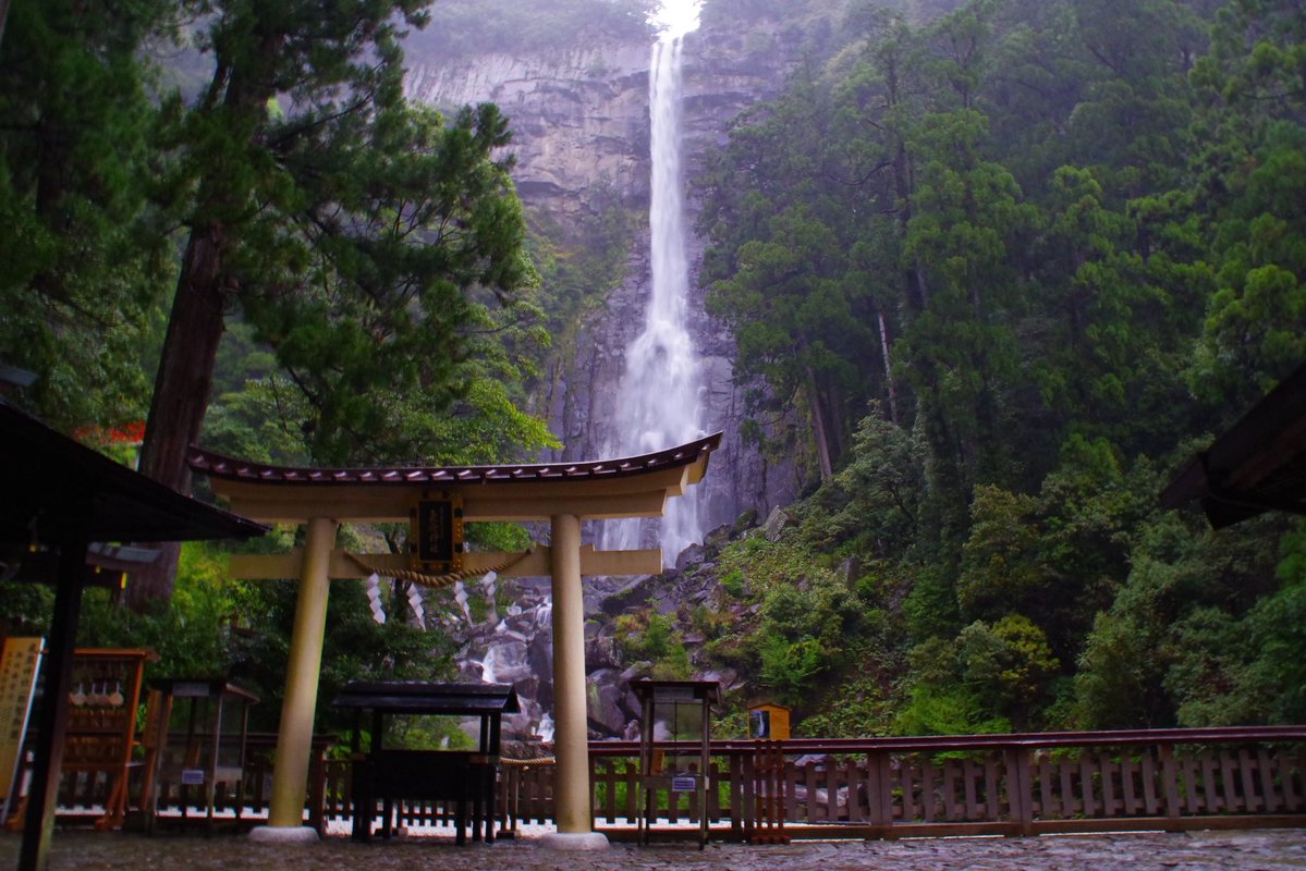 おきゅ tweet media