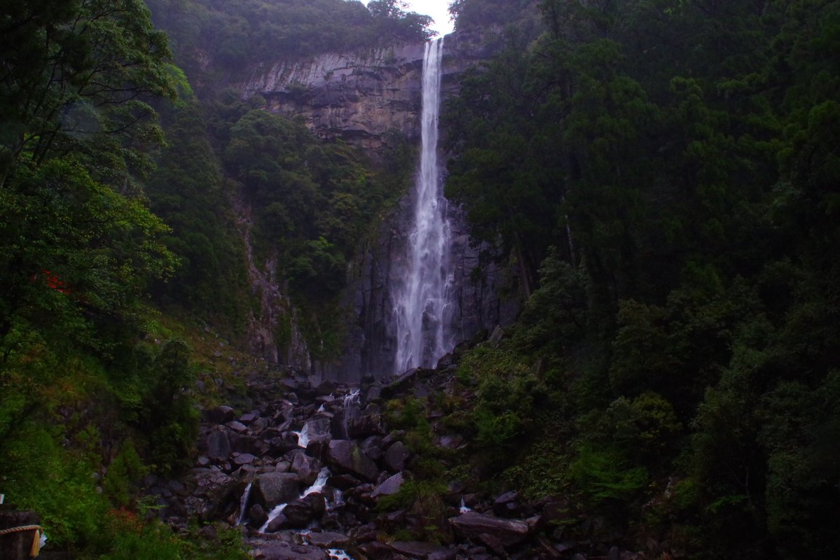 おきゅ tweet media