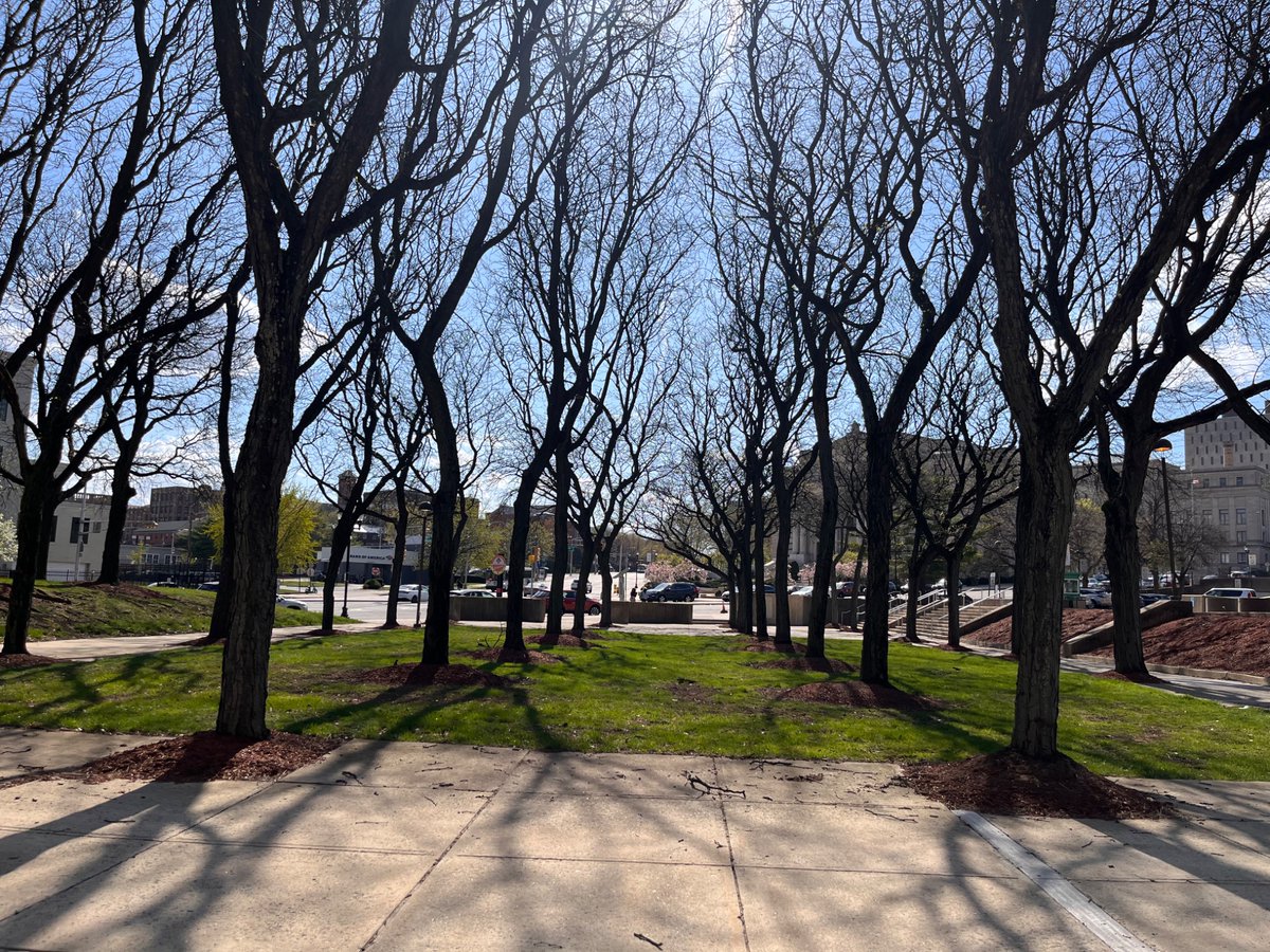 Cathy__Song's tweet photo. 路過我的社區大學， 那片我愛的小樹林在春天裡，光影明淨。想到那一句quote ： There is nothing stronger than a broken woman who has rebuilt herself. https://t.co/ctJw7ZROWc