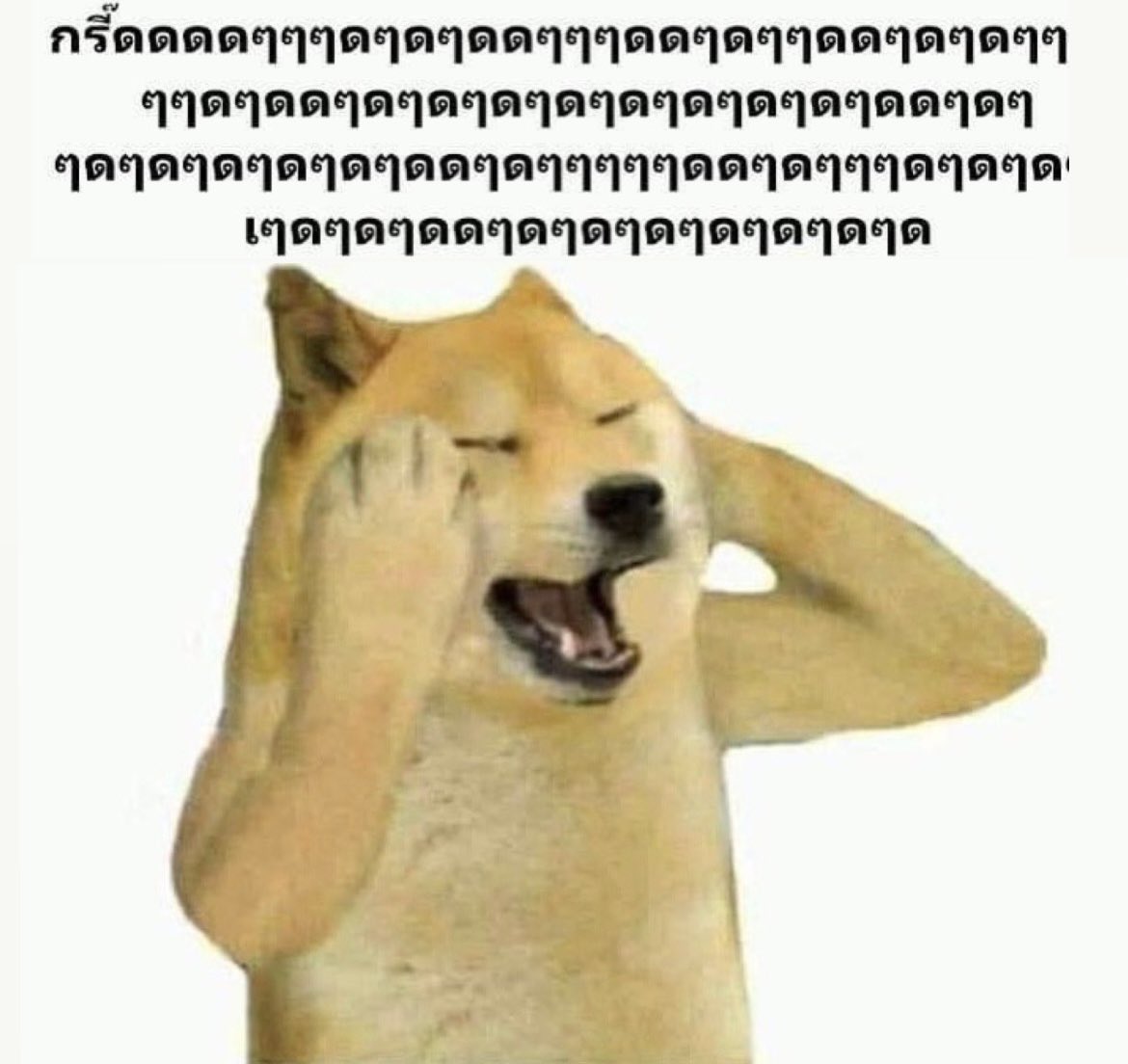 𝐿𝒾𝓃𝒶|𝐹𝐵|🧚‍♀️🌷| 🐶🐾🐕|~ tweet media