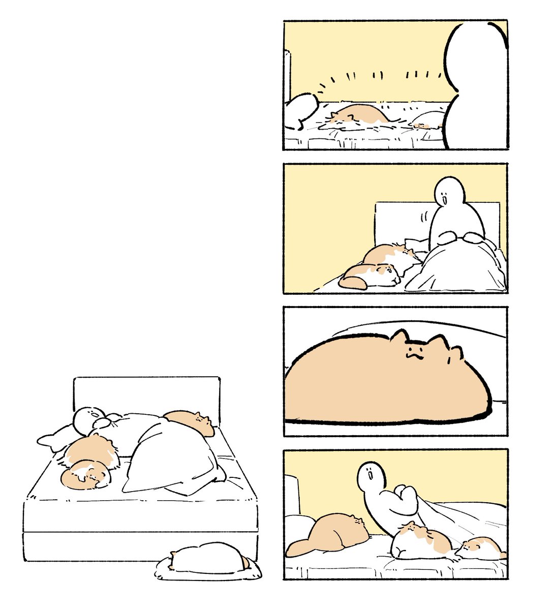 もちわさ日 tweet media