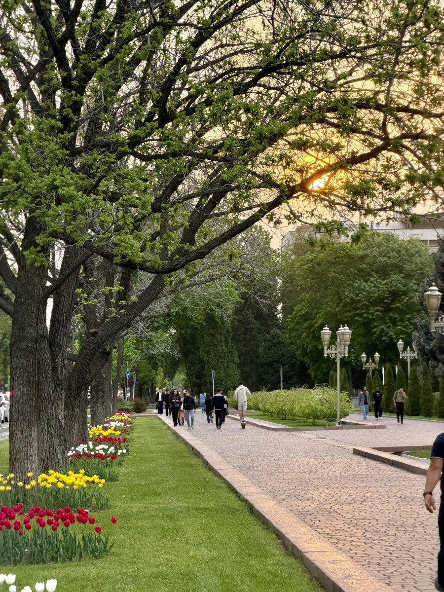 Борщ байке 🇰🇬 tweet media