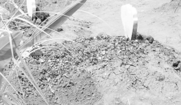 aya miung tweet media